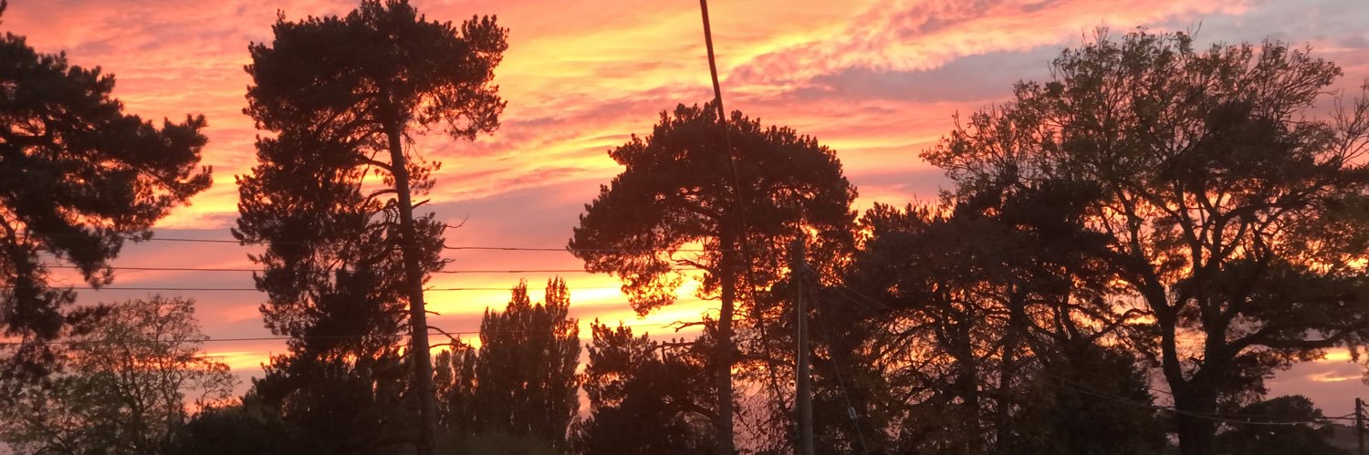 DellaThomas111's profile banner image
