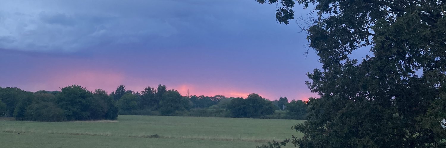 AsslPo's profile banner image