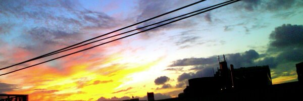 capybird Profile Banner