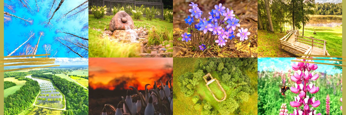 VainodeEmbute's profile banner image