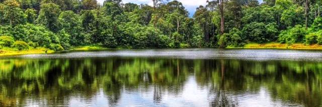 RConservancy's profile banner image