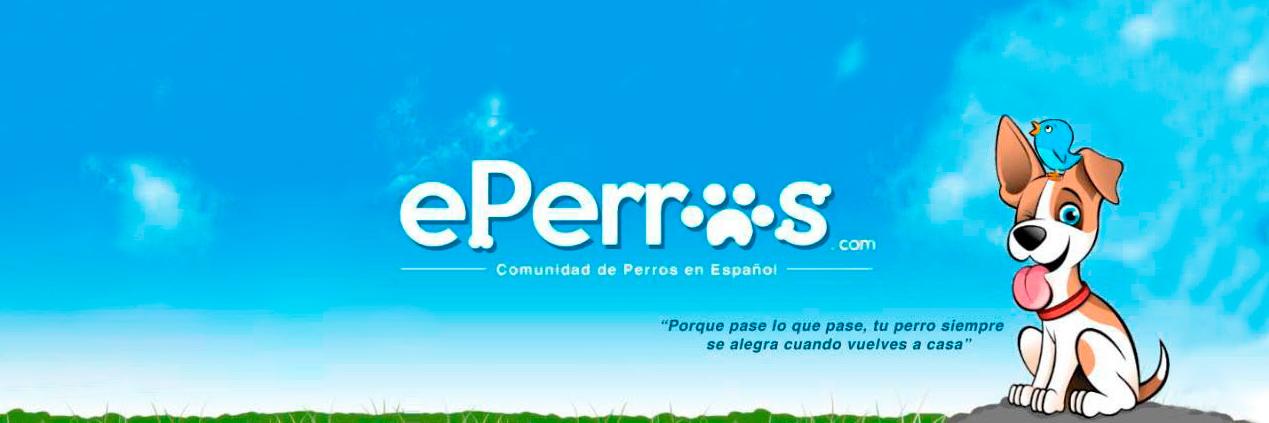 ePerroscom's profile banner image