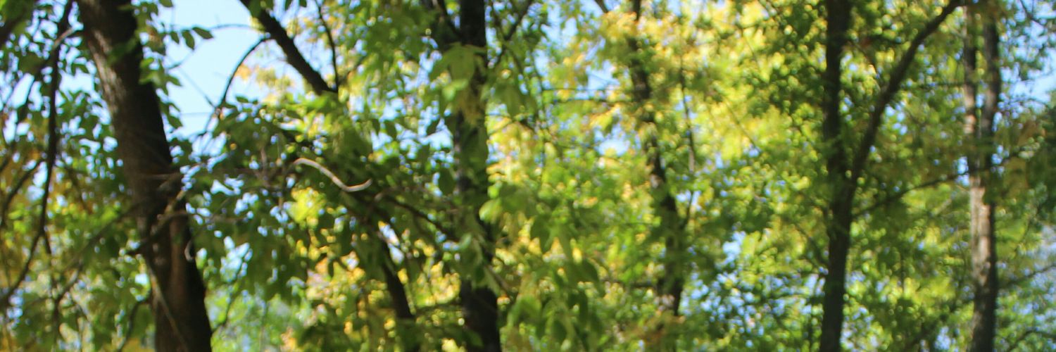 MargoLoveu's profile banner image