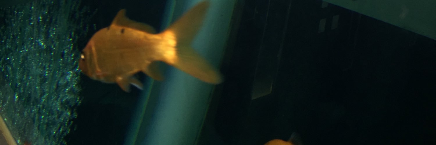 SmellLikeBaby's profile banner image