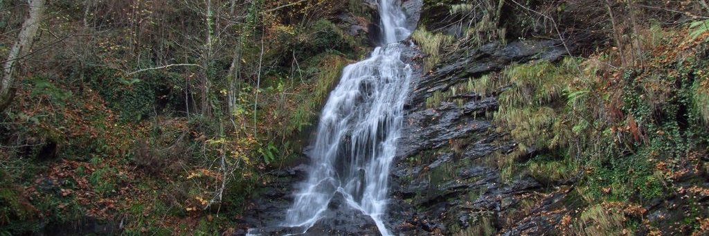 Círculo Galego - Galicia, despierta tus sentidos banner