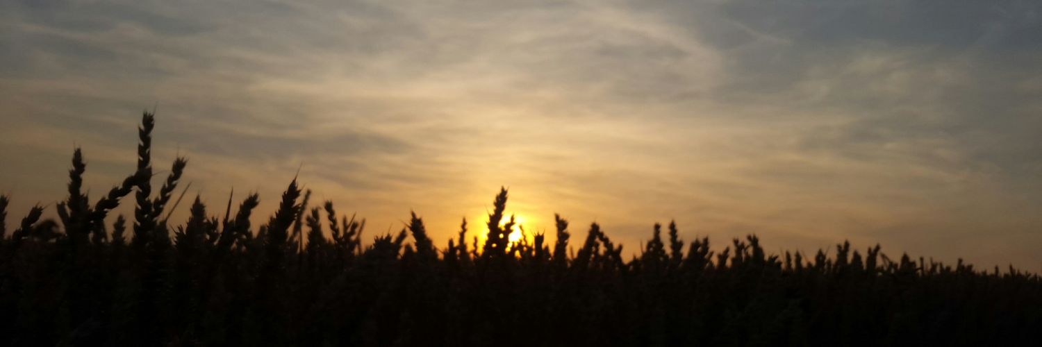 Br0d3x's profile banner image