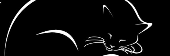 roselady00's profile banner image