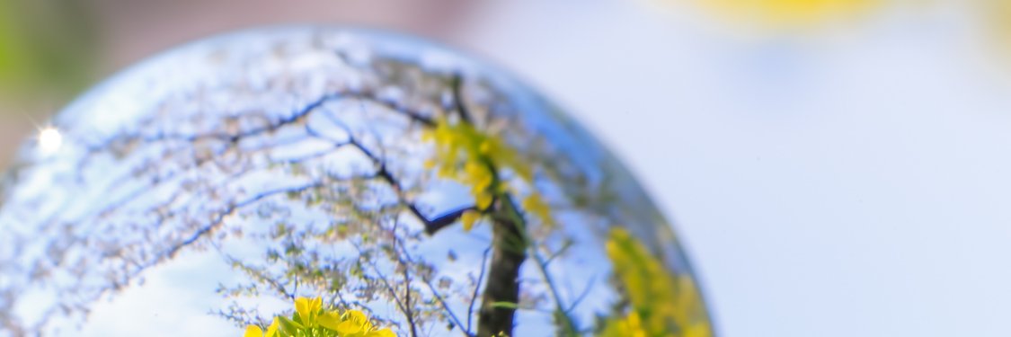 Aureria*•☆✧˖° banner