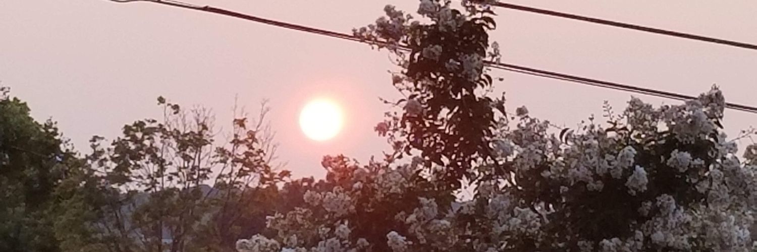 ZiggeeGnardust's profile banner image