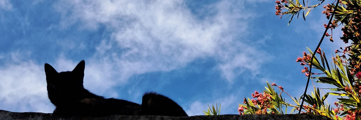 04_belyz's profile banner image