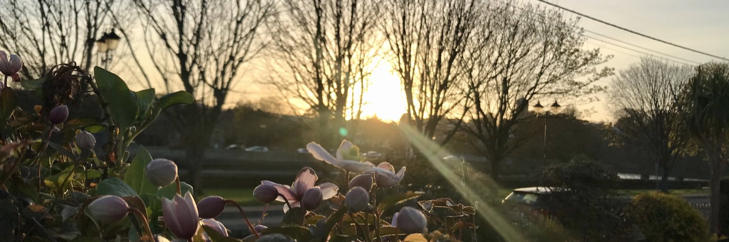 tegankavanagh's profile banner image
