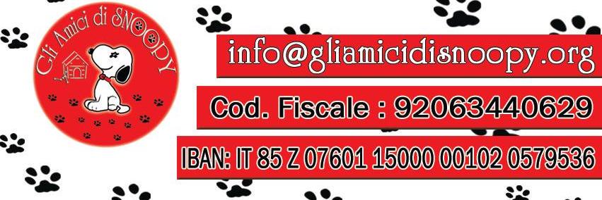 Gli Amici di Snoopy banner