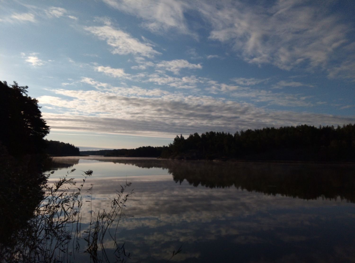 MalinGustavs's profile banner image