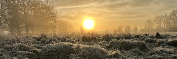 NickMcNally47 Profile Banner