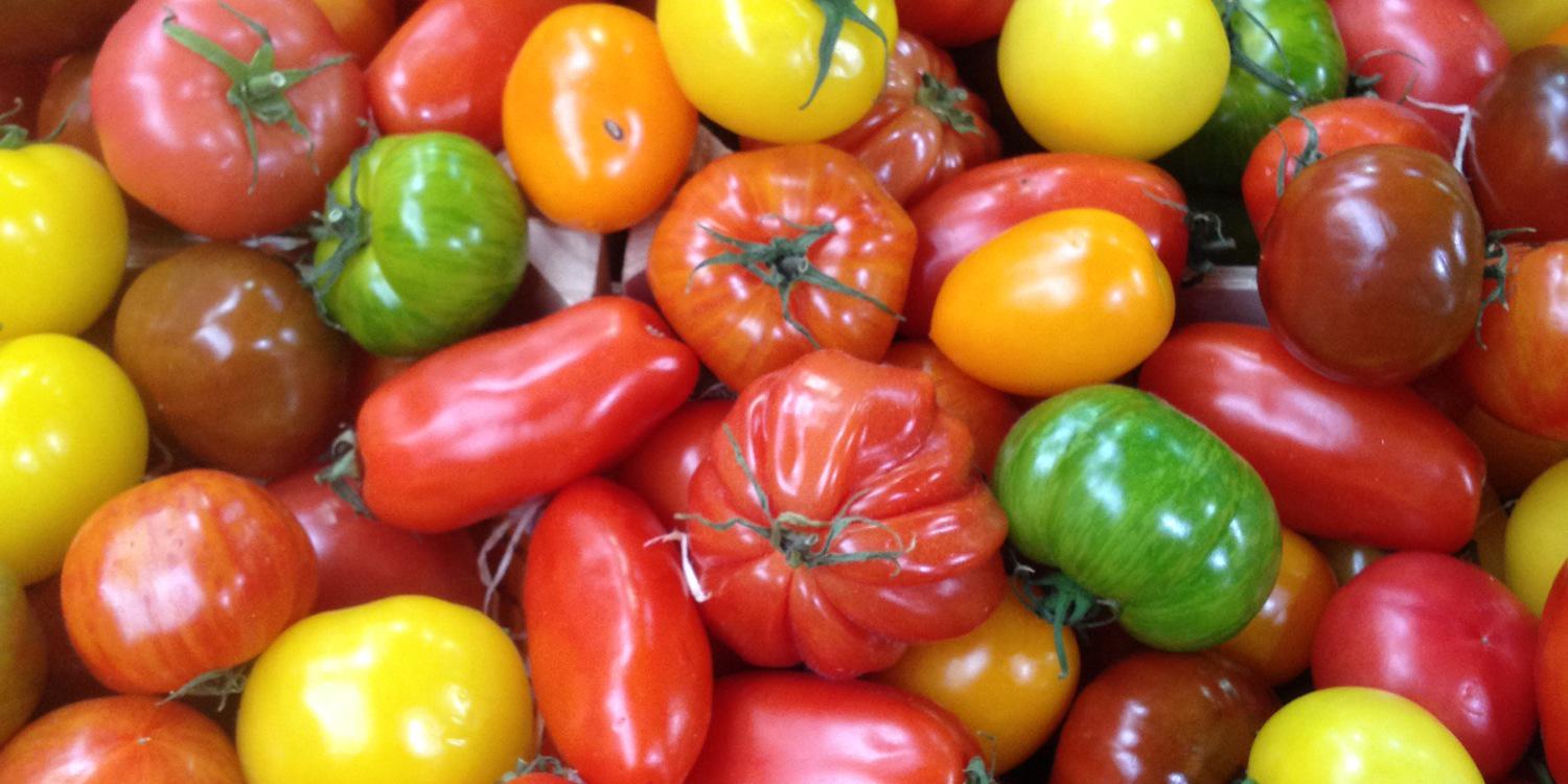 ylvafood's profile banner image