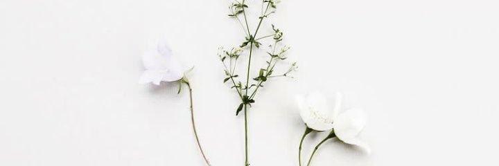 lia_oktari's profile banner image