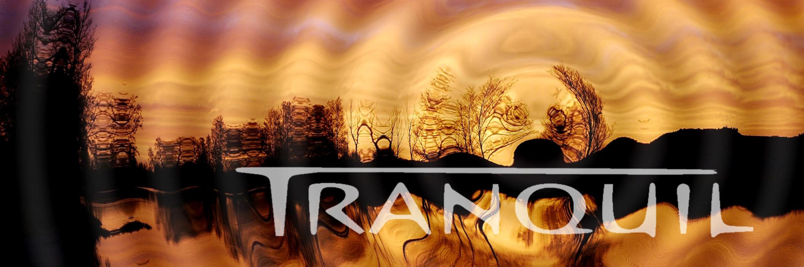 Trancequil's profile banner image