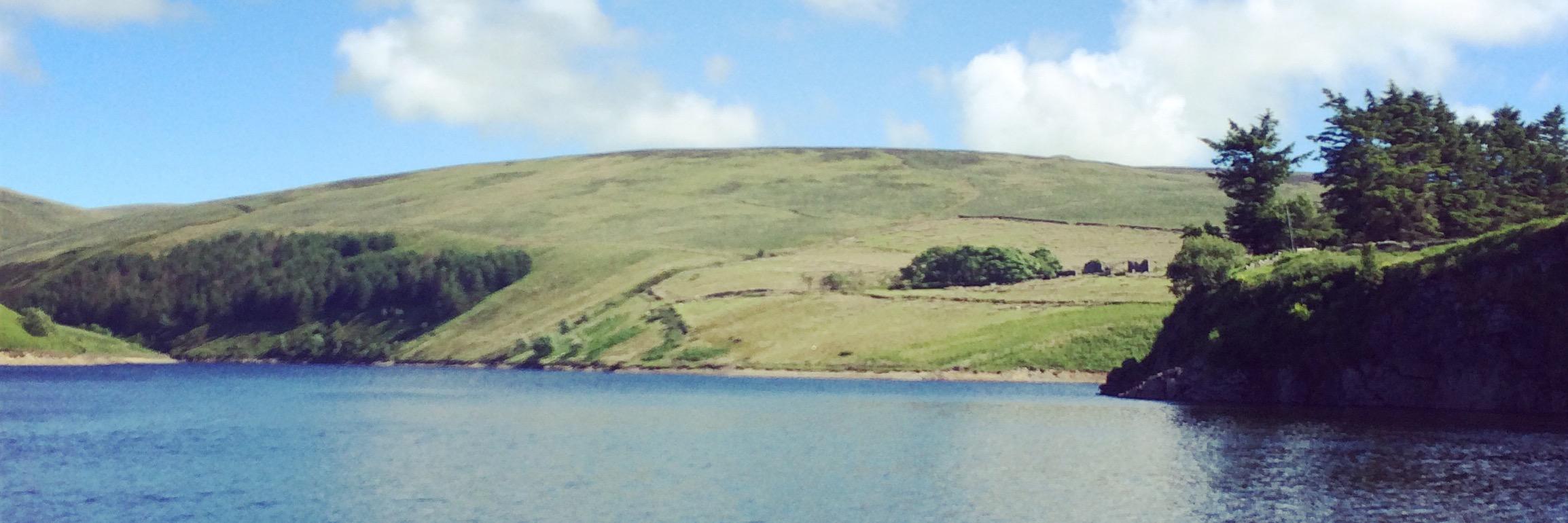 IOMBASC's profile banner image