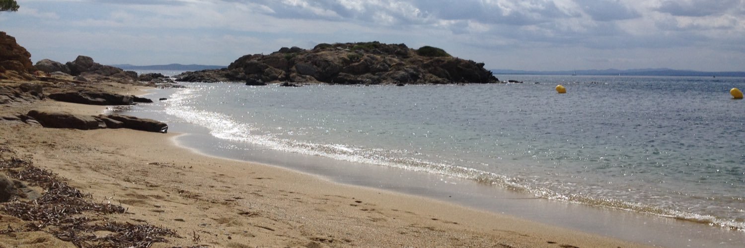 Alison Pickering banner