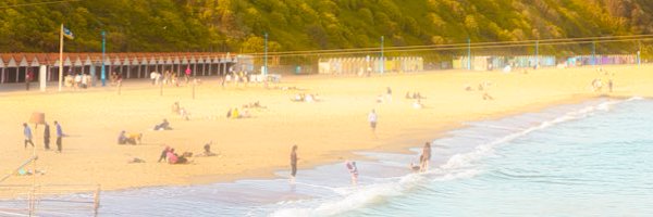 visualswithsam Profile Banner