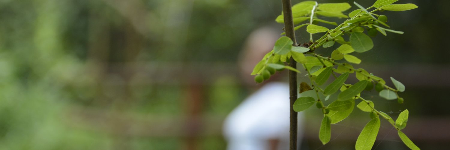 KitachTim's profile banner image