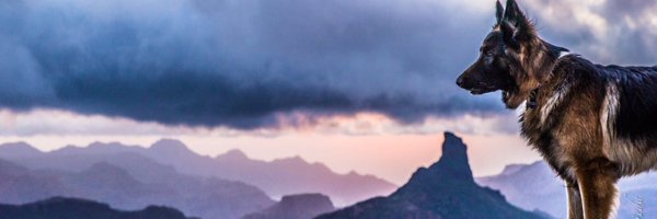 Tejeda_GC Profile Banner