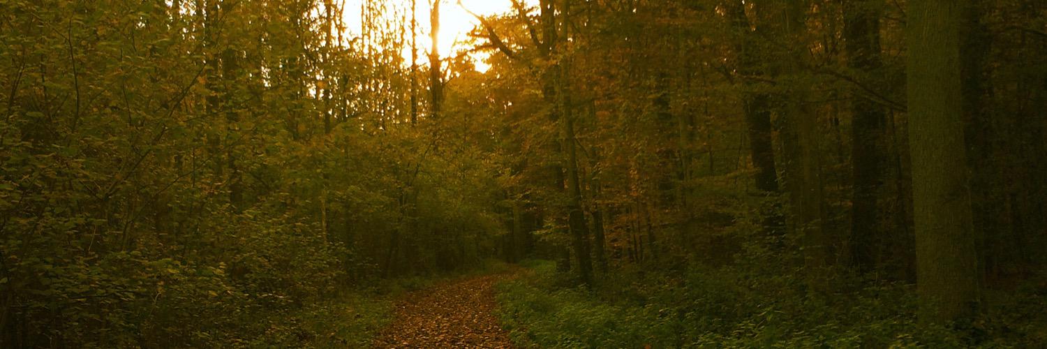 DebDebEdge's profile banner image
