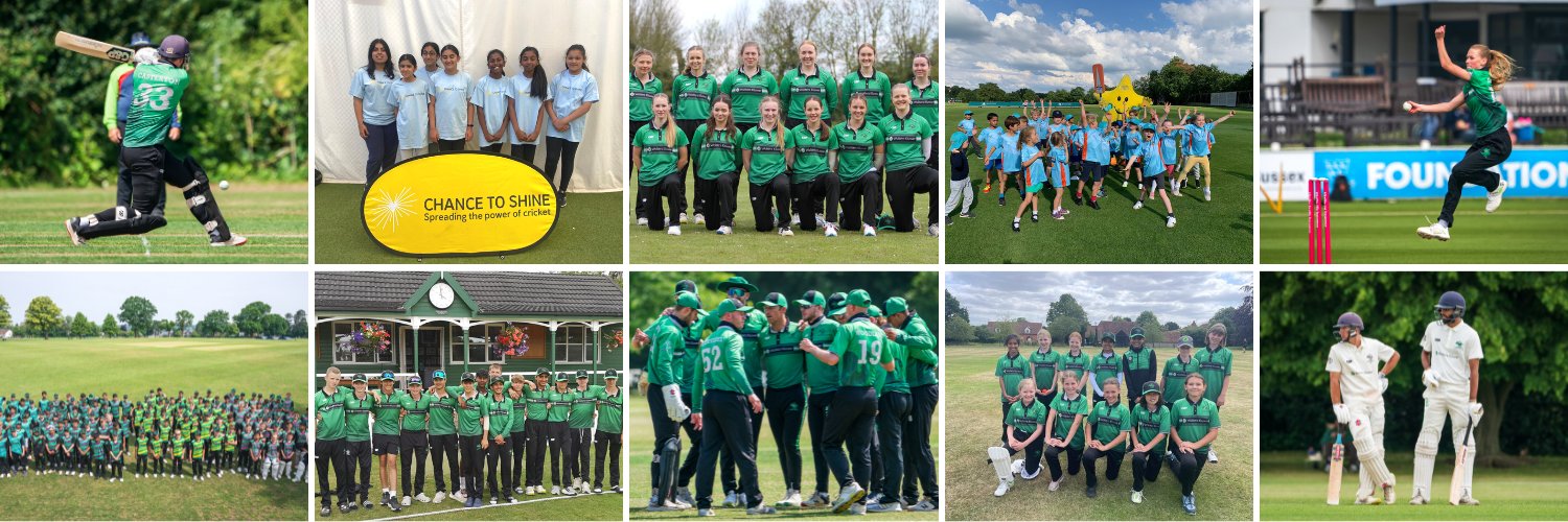 Bucks Cricket banner