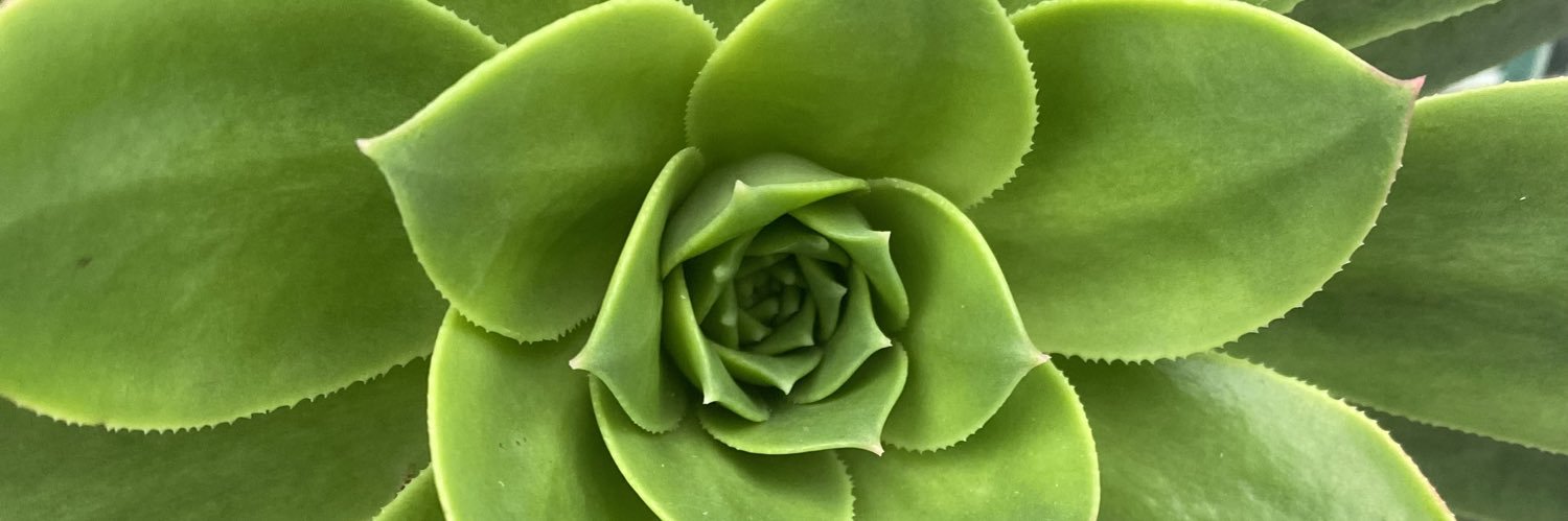 mcleanwillis's profile banner image
