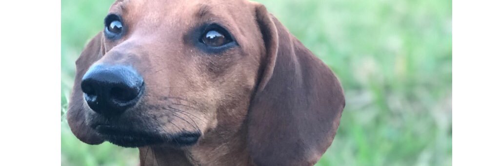 soleeirra's profile banner image