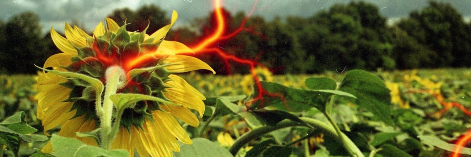 erinccar's profile banner image
