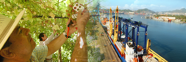 Anabel Gonzalez banner