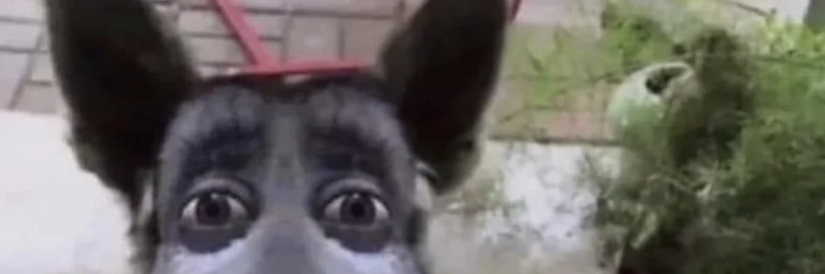 andrewtheghost's profile banner image