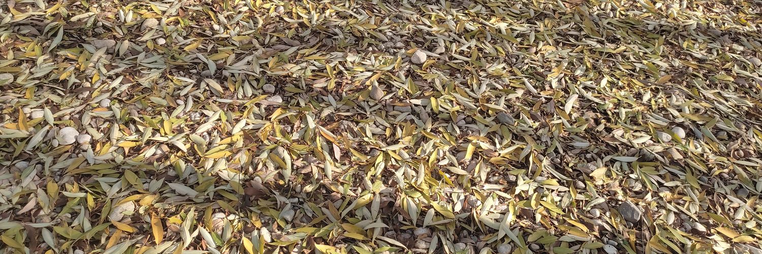 Yücel Aslan (Koçer ) banner