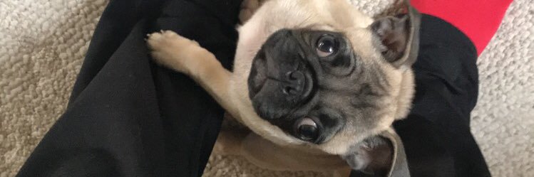 BethanyClarkA's profile banner image
