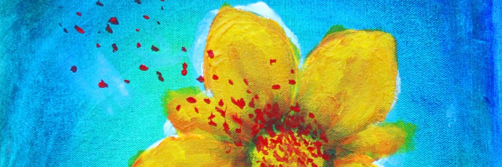 steedo79's profile banner image