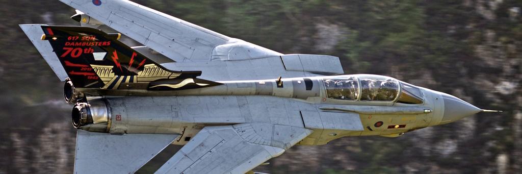 chinneylowfly's profile banner image
