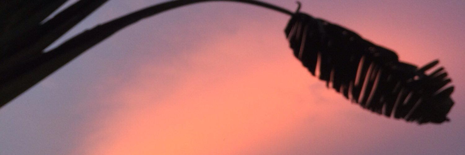 bellaserg's profile banner image