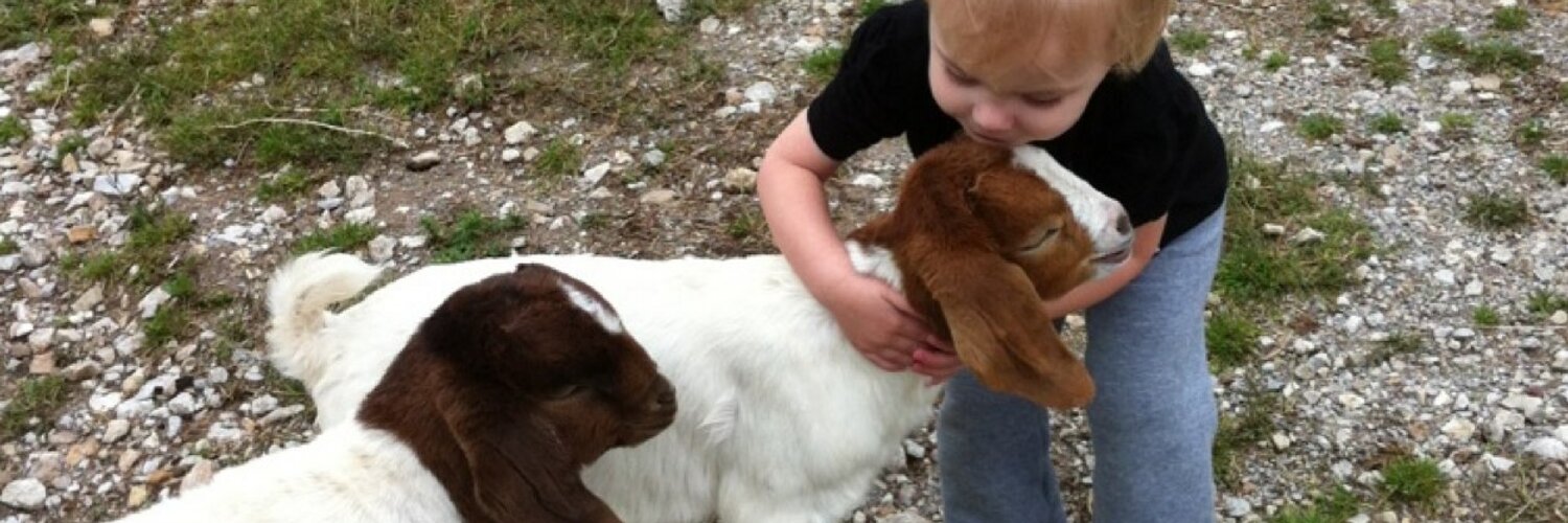 Gingerface Goats Profile Banner