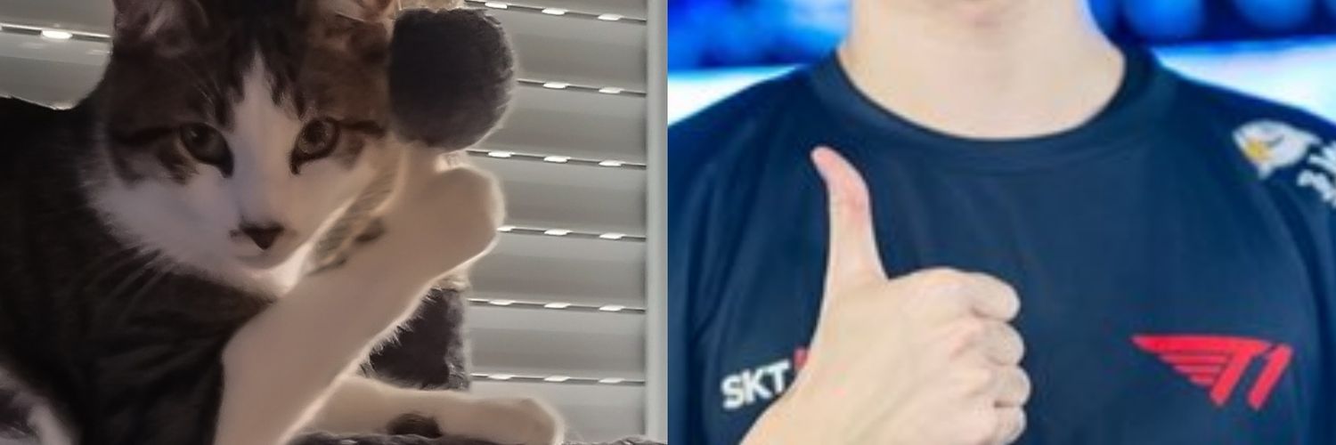 bootlegcat_'s profile banner image
