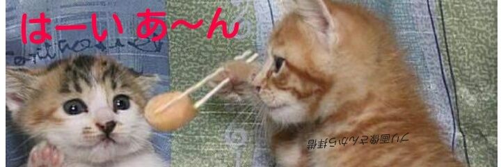Kenchinjiru49's profile banner image