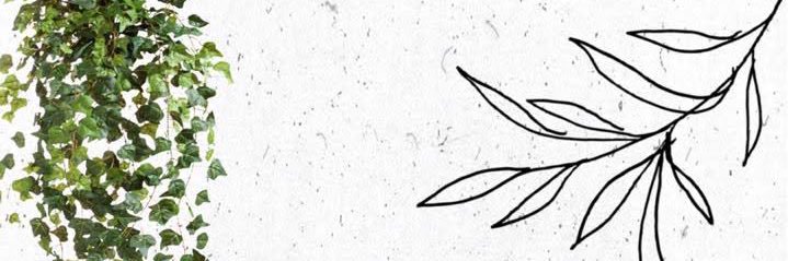 PedrooJean's profile banner image
