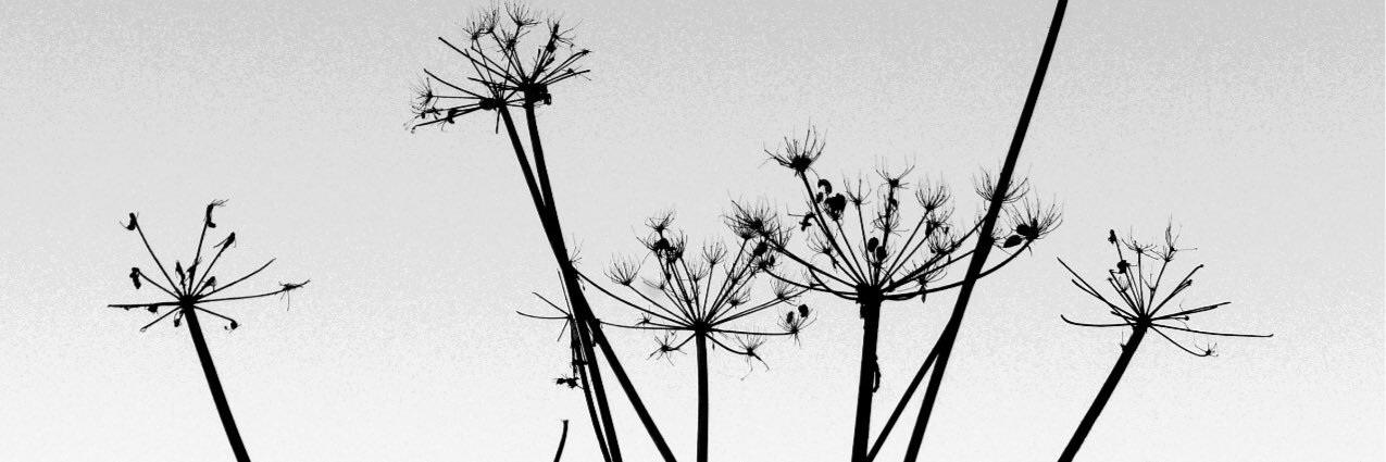 m_shaw_13's profile banner image