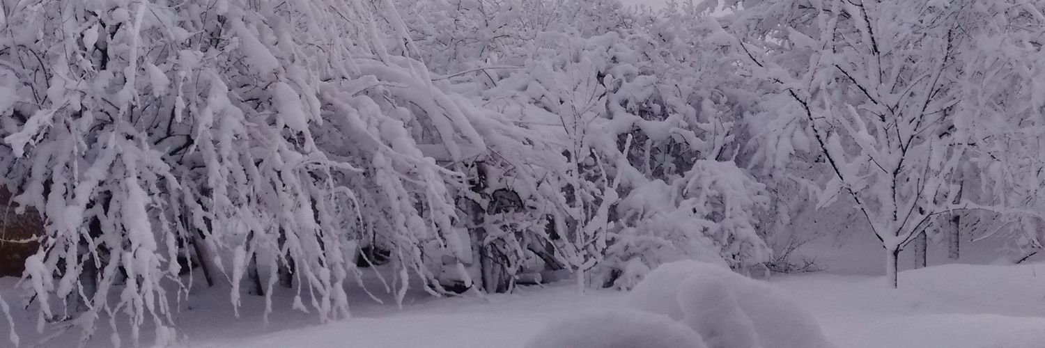 e9928ec338784fc's profile banner image