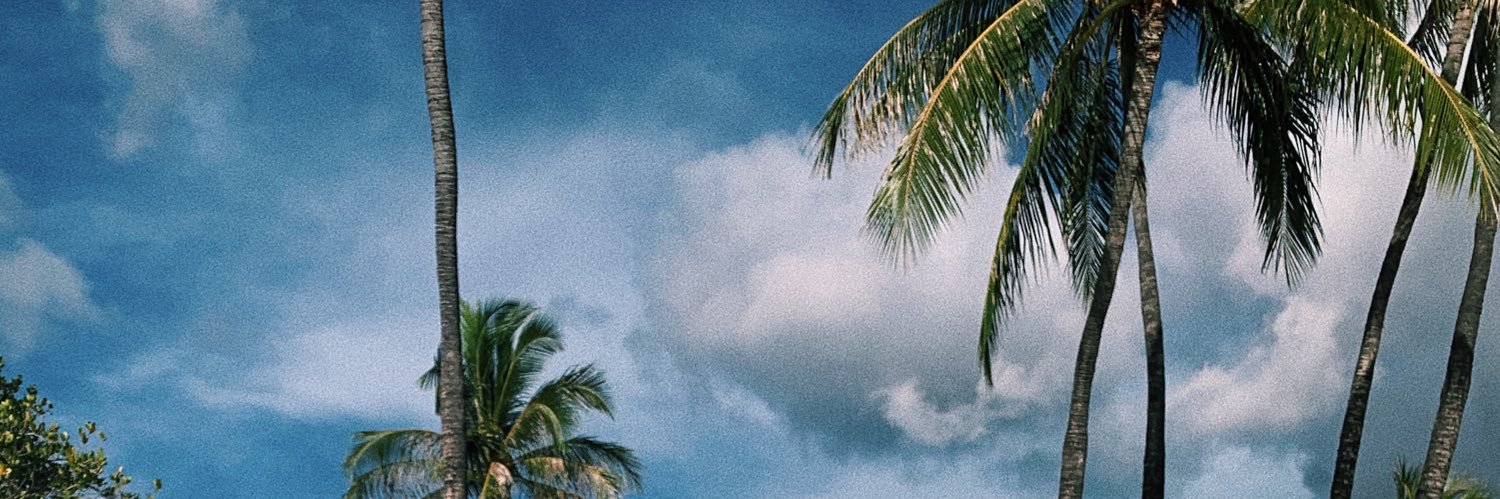 Anelajacklyn's profile banner image