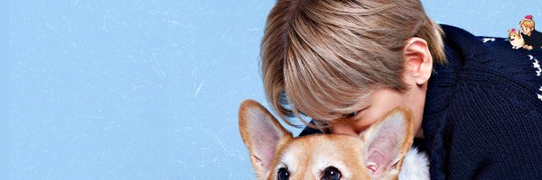 lightqorgus Profile Banner