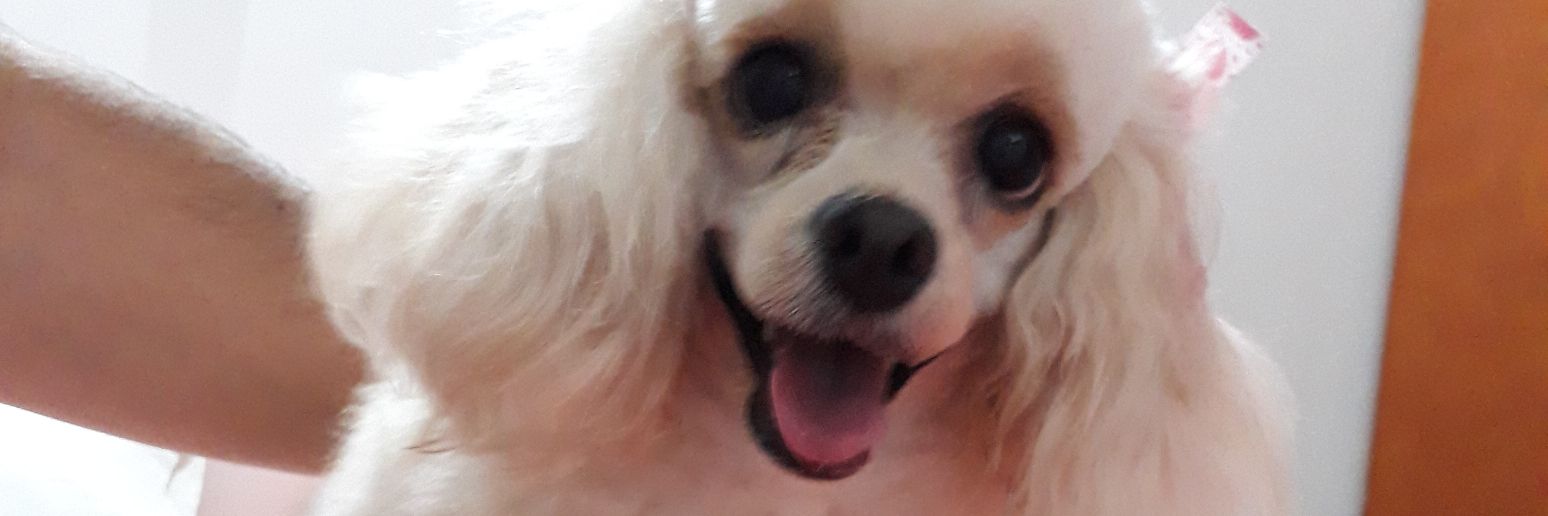 DianaCFo's profile banner image