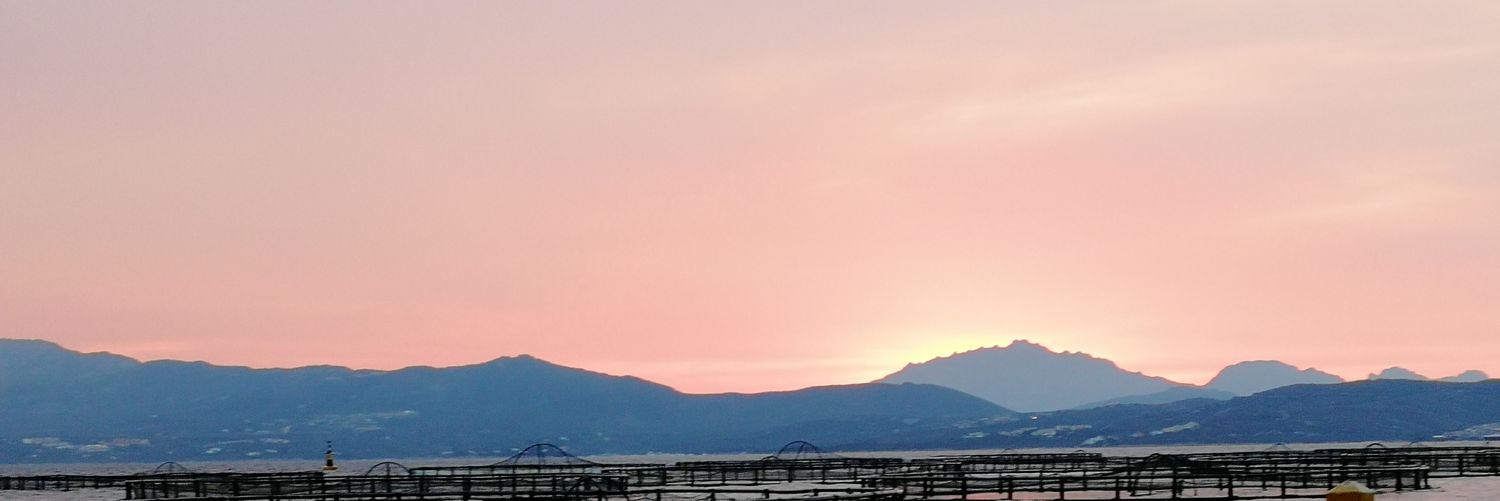 Lo_Lvn's profile banner image
