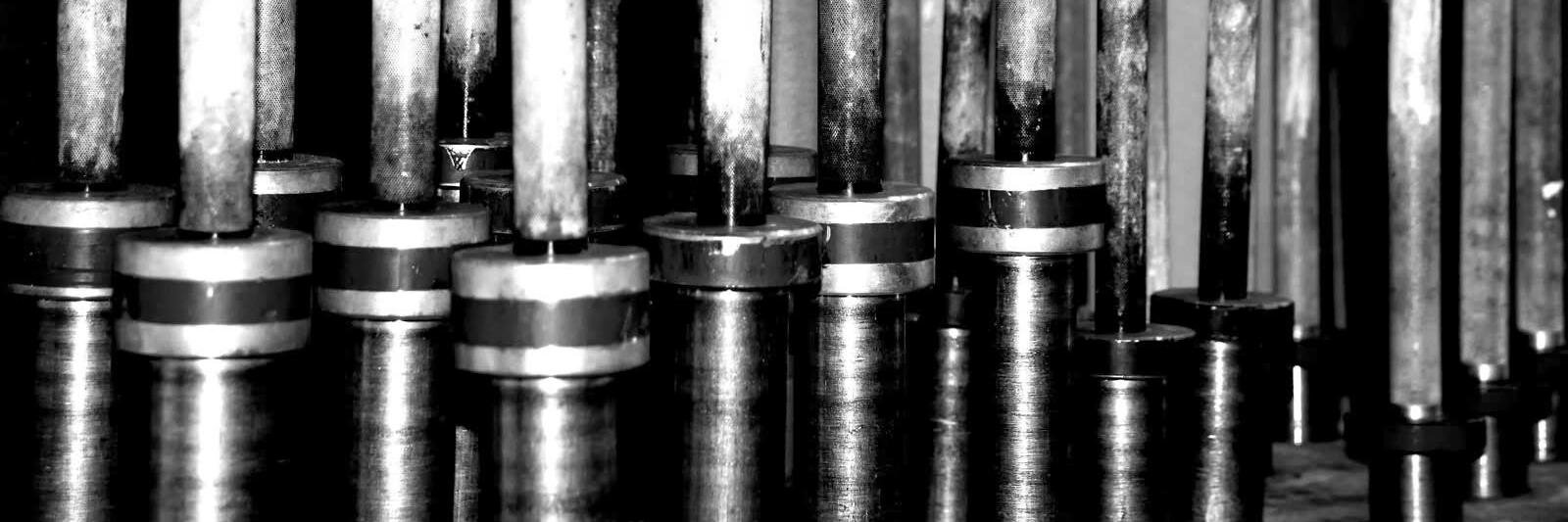LocallyLocal's profile banner image
