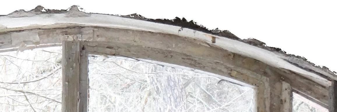 einSelbst's profile banner image